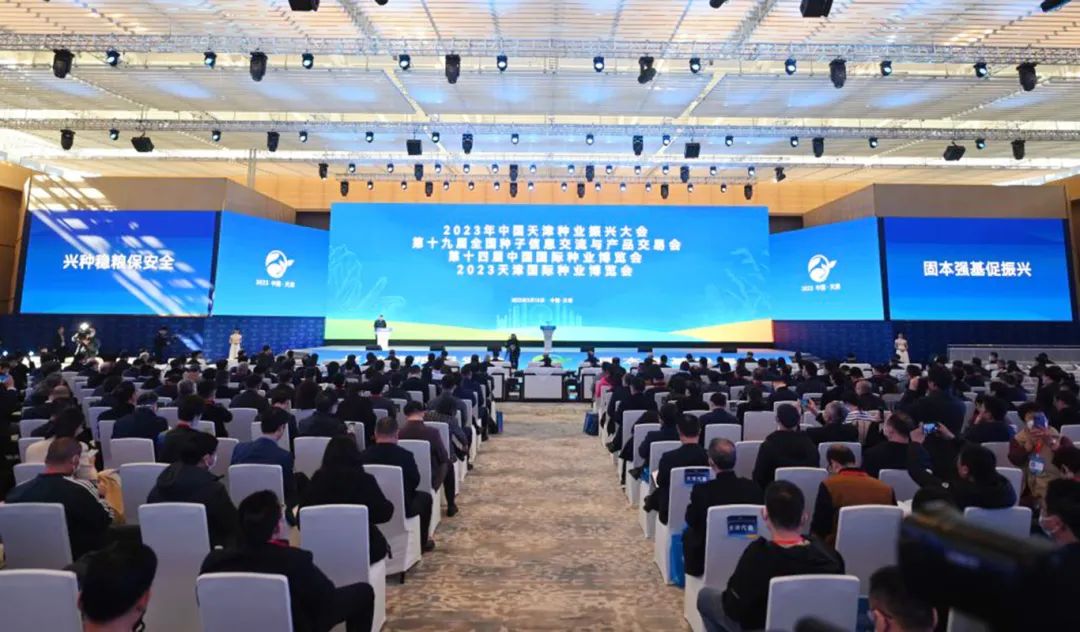 敦煌種業公司:播撒“希望種” 耕耘“夢想田”