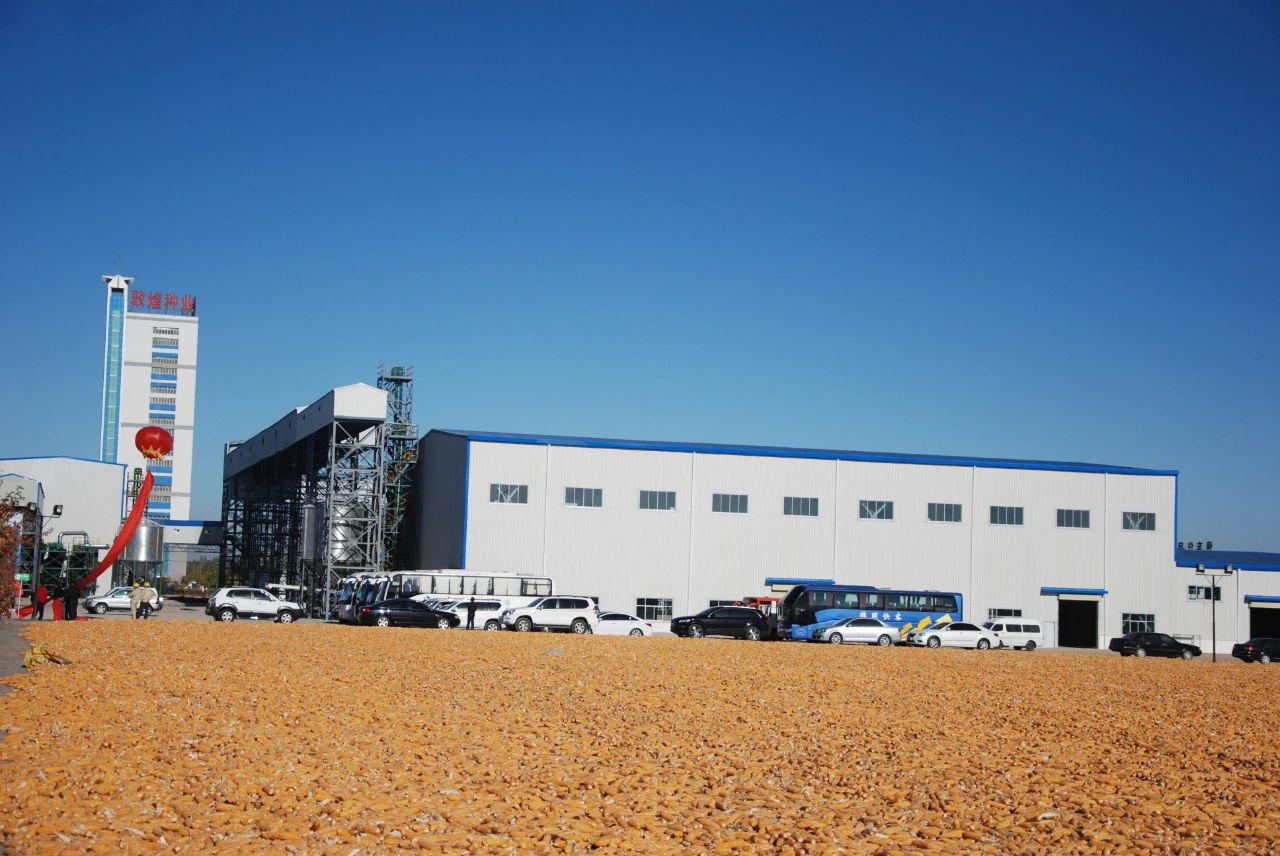 敦煌種業公司:播撒“希望種” 耕耘“夢想田”