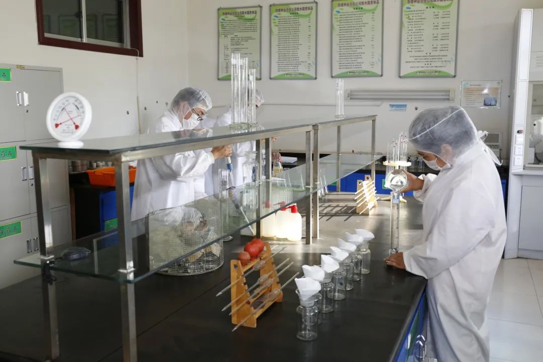 敦煌種業公司:播撒“希望種” 耕耘“夢想田”